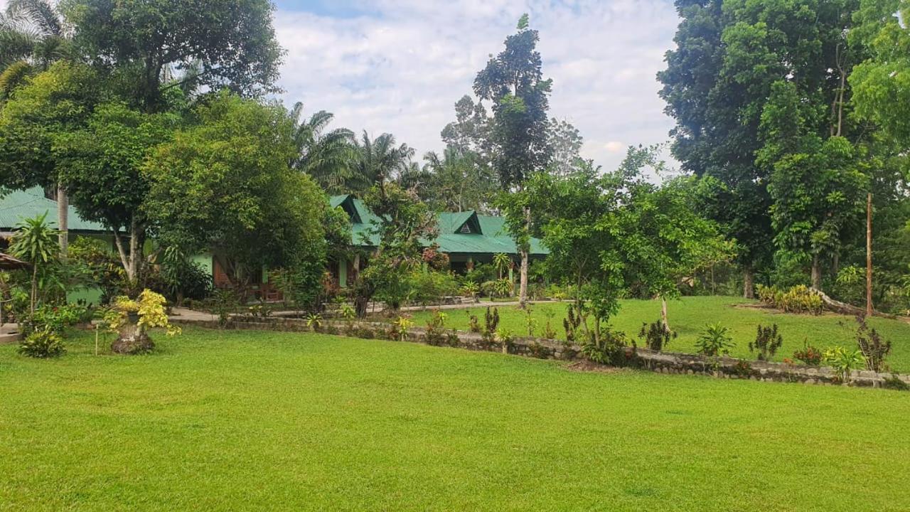Wisma Batu Mandi Bukit Lawang Exterior photo