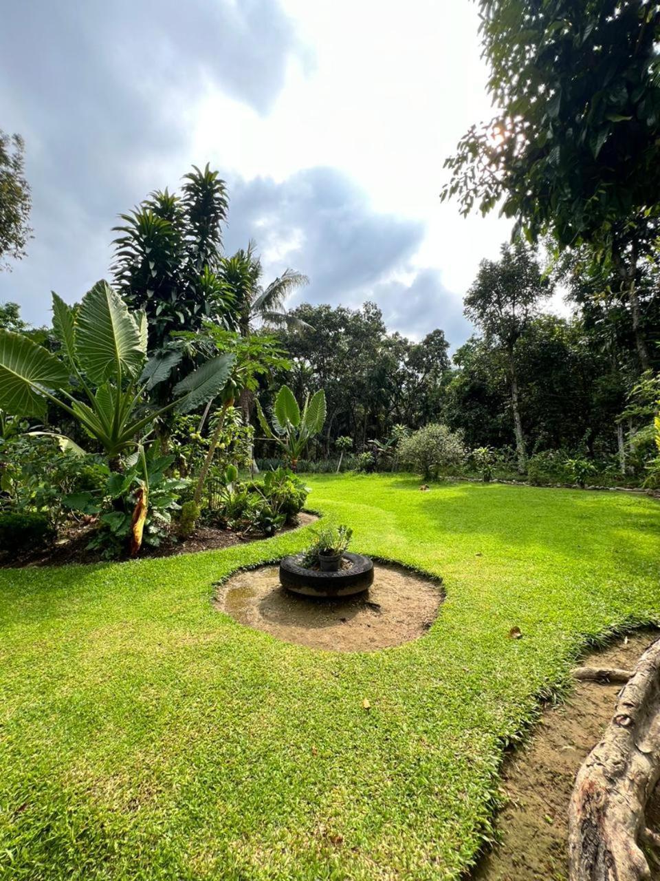 Wisma Batu Mandi Bukit Lawang Exterior photo