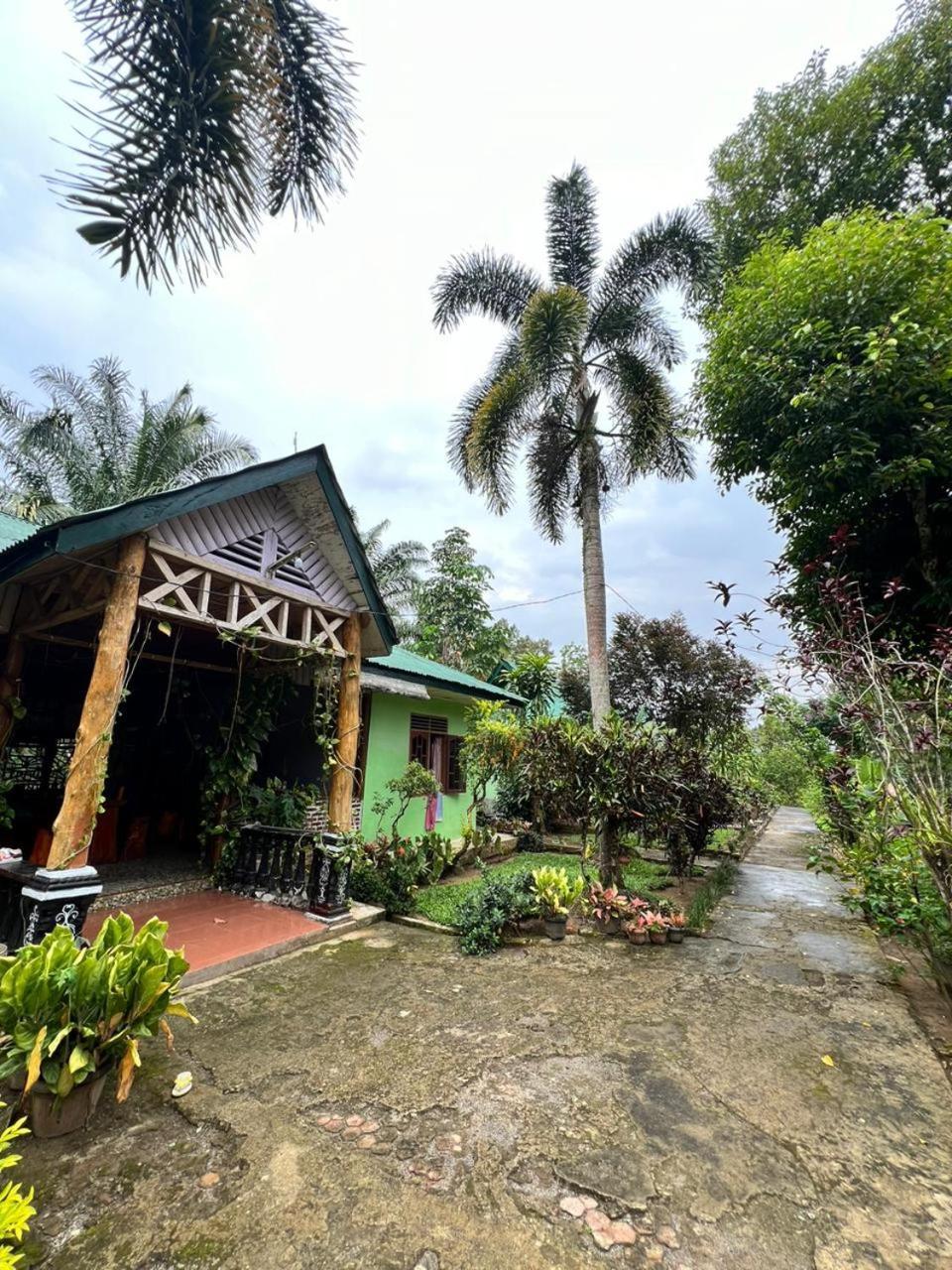 Wisma Batu Mandi Bukit Lawang Exterior photo