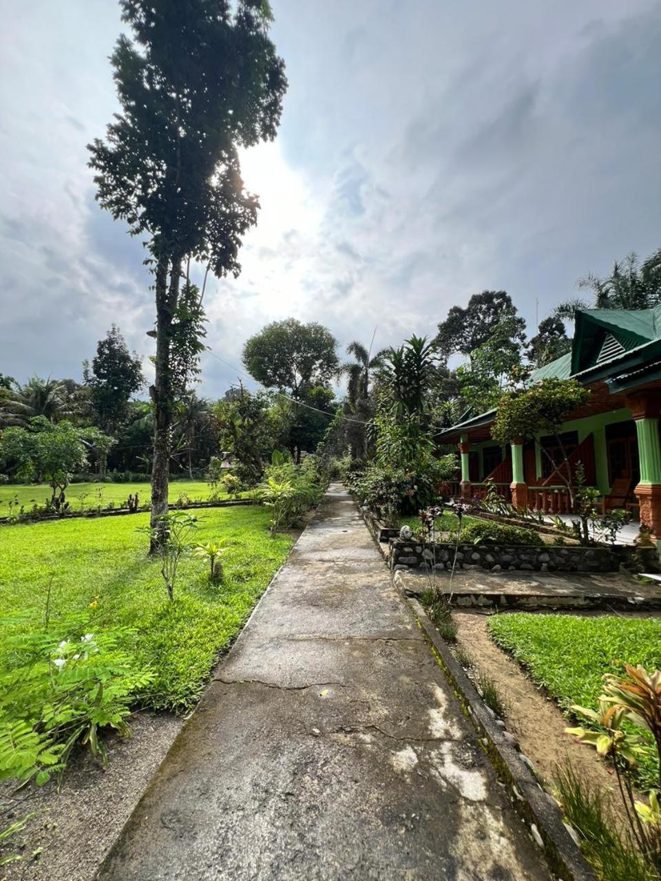 Wisma Batu Mandi Bukit Lawang Exterior photo