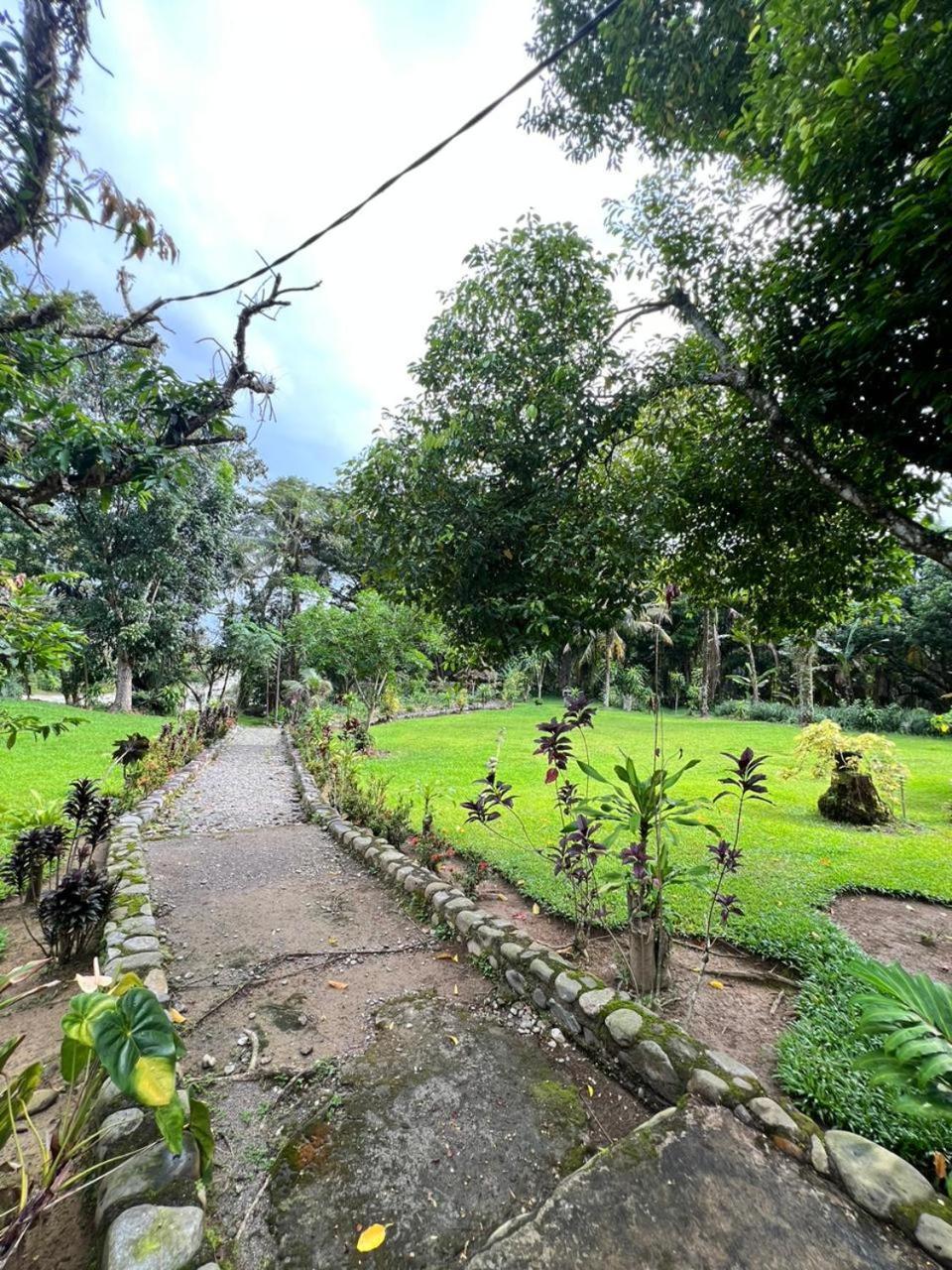 Wisma Batu Mandi Bukit Lawang Exterior photo