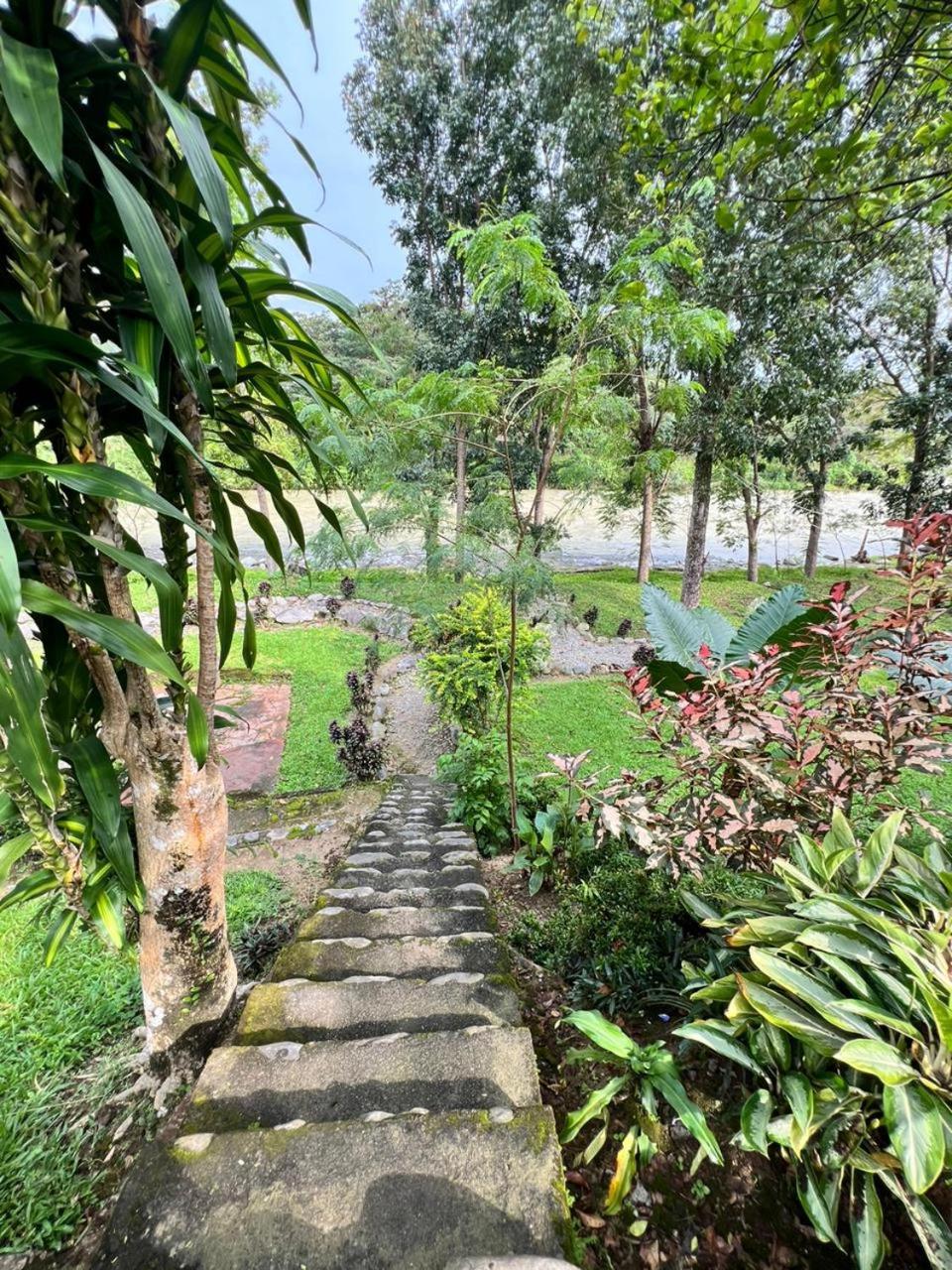 Wisma Batu Mandi Bukit Lawang Exterior photo
